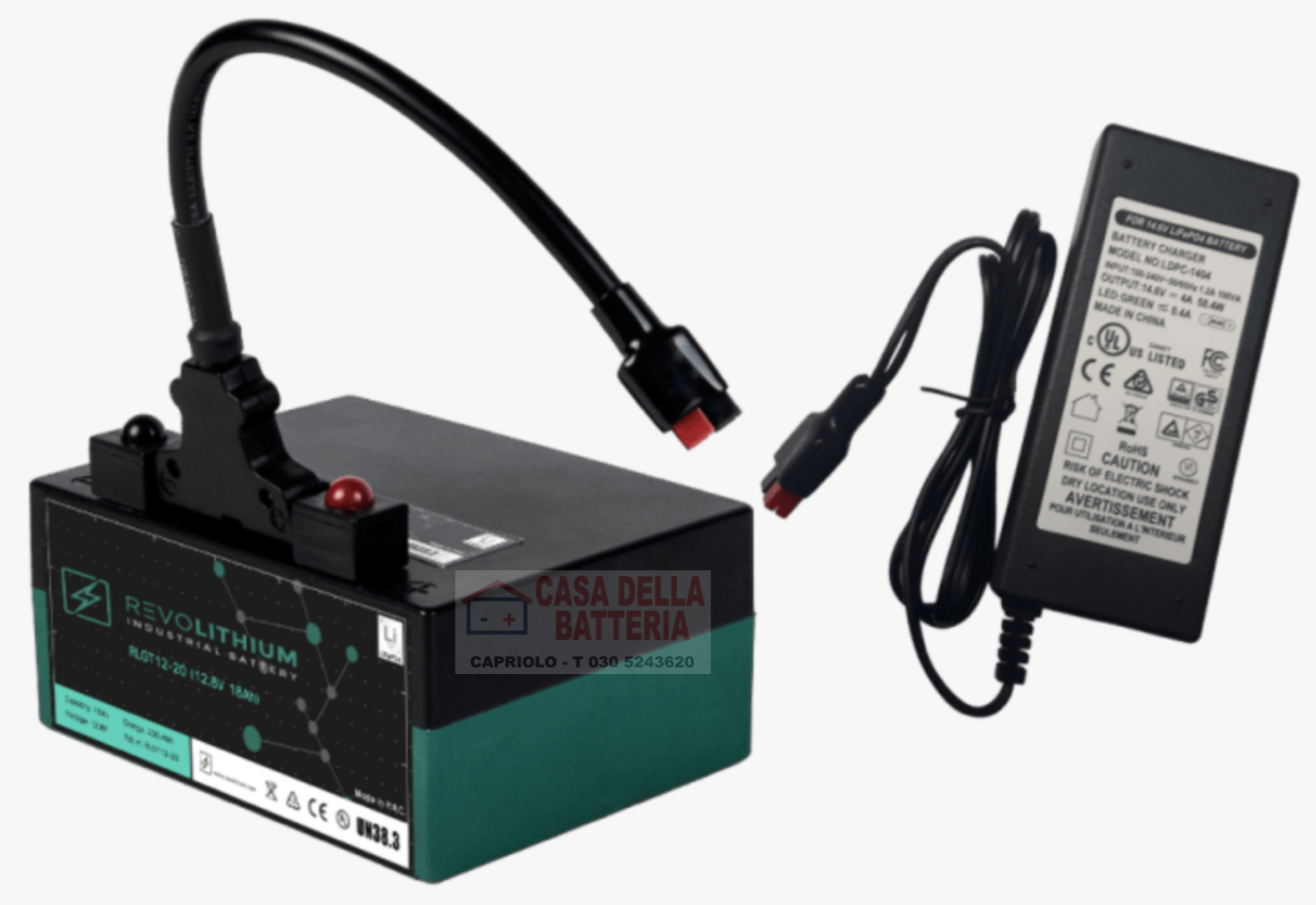 Batteria al litio LiFePo4 per carrello da Golf RLGT12-20 12,8V 18Ah